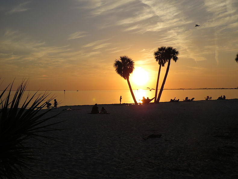 Spring Sunset In Tampa