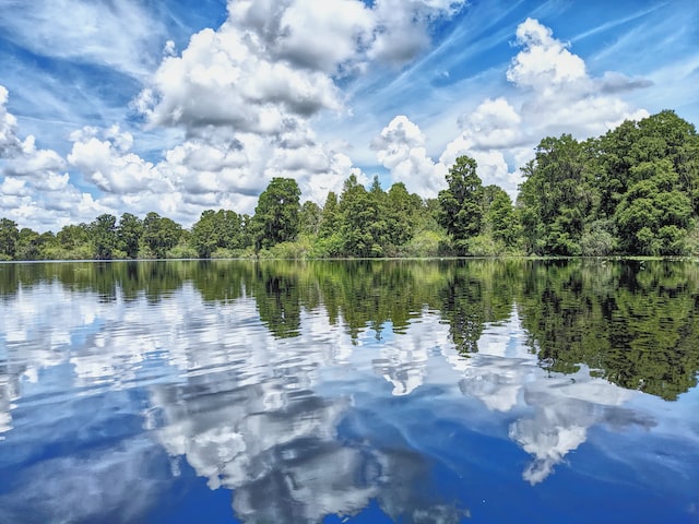 Lettuce Lake Park