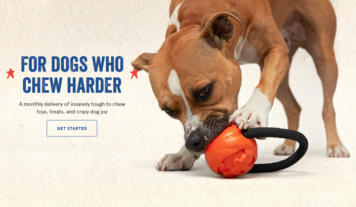 BarkBox Super Chewer Toys Stay Fun Longer Than Normal Toys