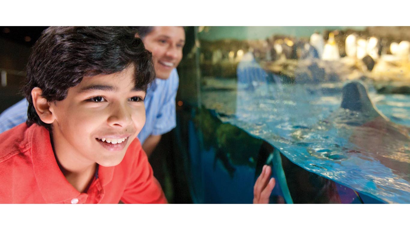 Free SeaWorld Tickets for Teachers